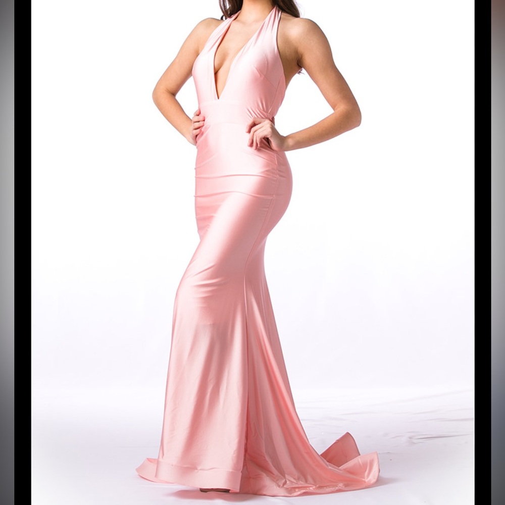 Formal Blush Dress